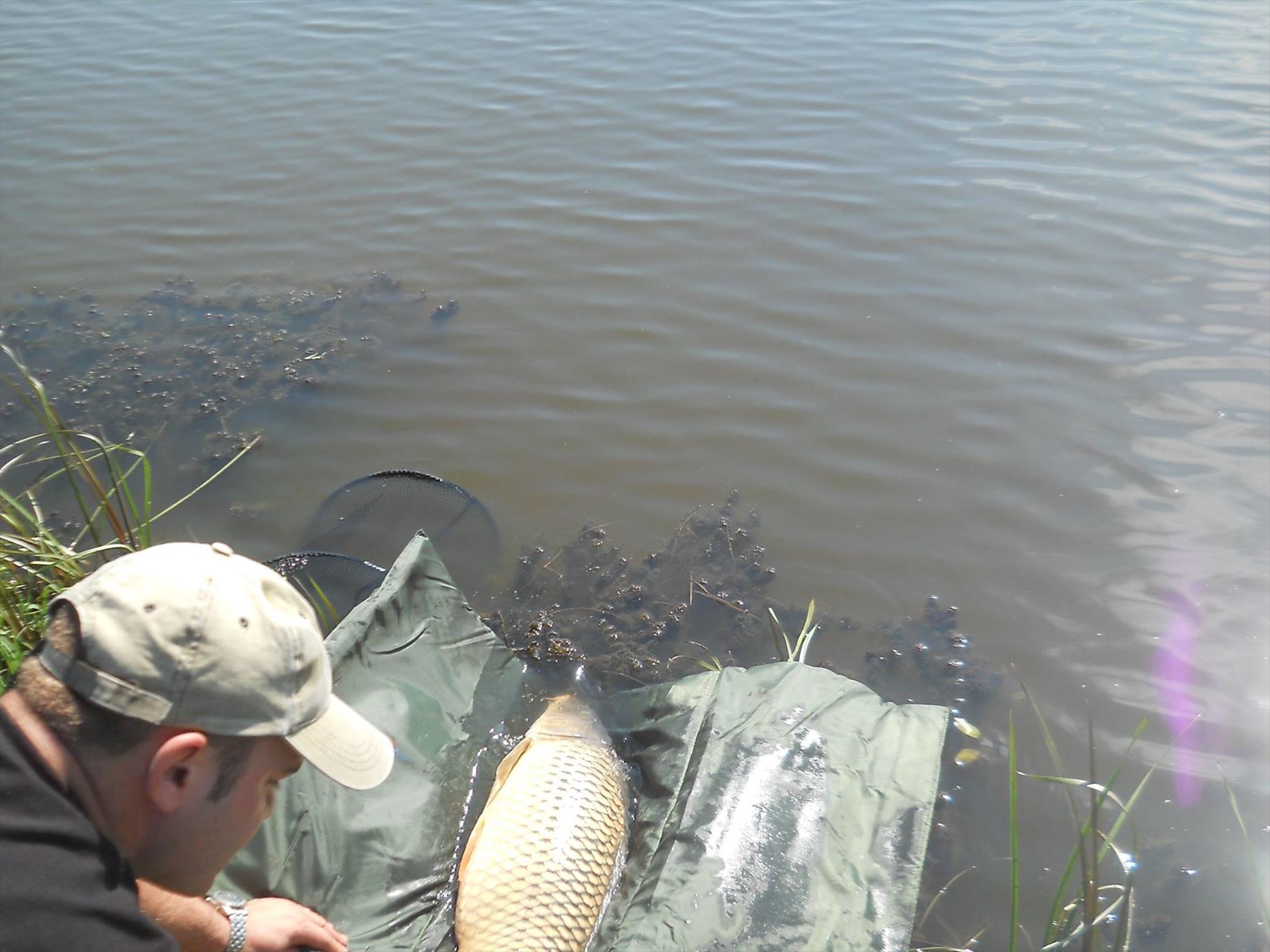 2015 Gabud, Ocna Mures - 110129939639773569567973769981320150499184o.jpg